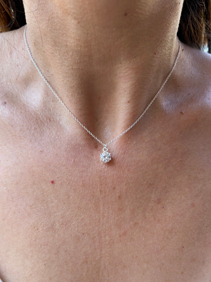 Setul Tre Stelle ⭐⭐⭐⭐⭐